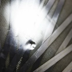 Lightweight Autobahn Tubular Rear Disc Wheel - Rim Brake 19 Lightweight Autobahn Tubular Rear Disc Wheel - Rim Brake -Enve Tire Salg 8T1A9579